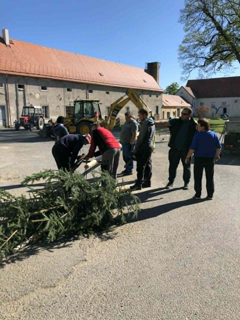 Pálení čarodějnic